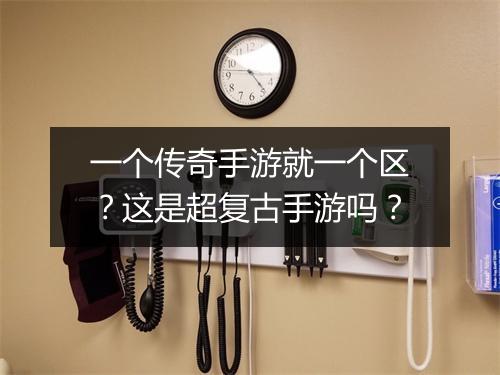 一个传奇手游就一个区？这是超复古手游吗？