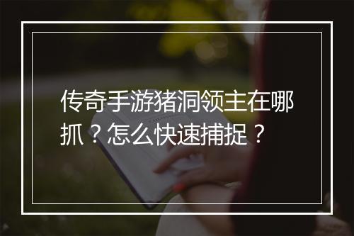 传奇手游猪洞领主在哪抓？怎么快速捕捉？