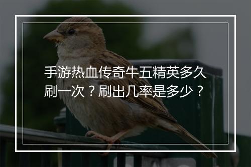 手游热血传奇牛五精英多久刷一次？刷出几率是多少？