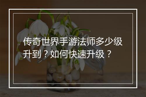 传奇世界手游法师多少级升到？如何快速升级？