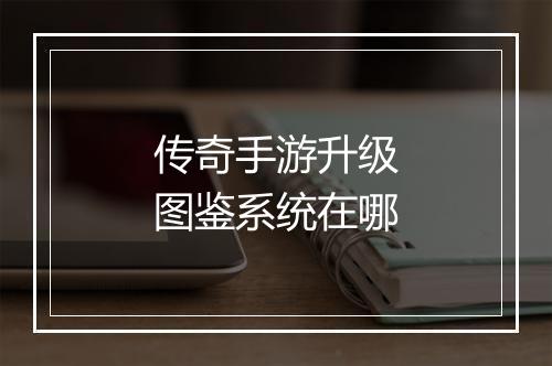 传奇手游升级图鉴系统在哪