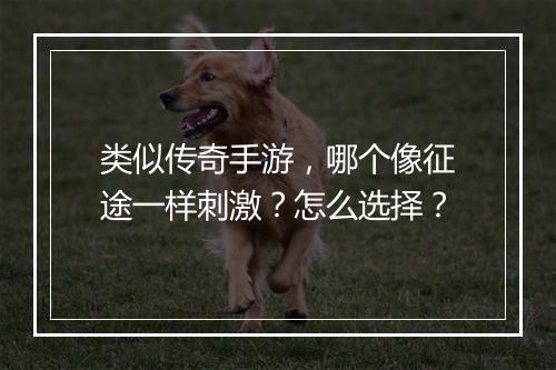 类似传奇手游，哪个像征途一样刺激？怎么选择？