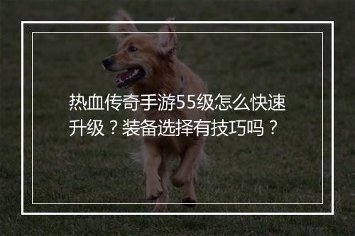 热血传奇手游55级怎么快速升级？装备选择有技巧吗？