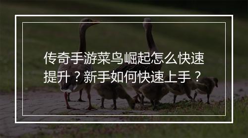传奇手游菜鸟崛起怎么快速提升？新手如何快速上手？