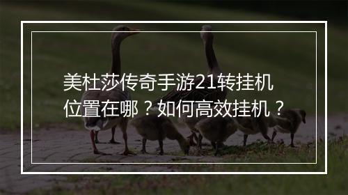 美杜莎传奇手游21转挂机位置在哪？如何高效挂机？