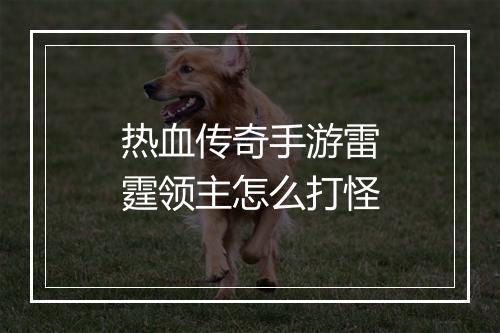 热血传奇手游雷霆领主怎么打怪