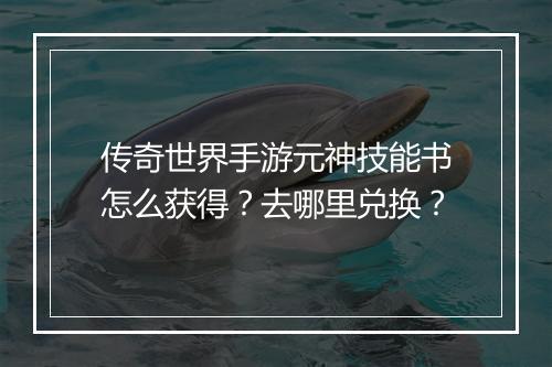 传奇世界手游元神技能书怎么获得？去哪里兑换？
