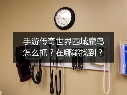 手游传奇世界西域魔鸟怎么抓？在哪能找到？