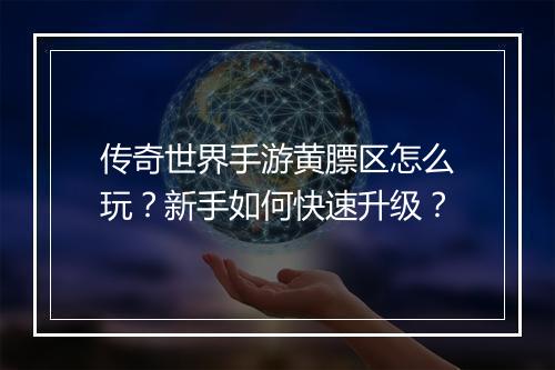 传奇世界手游黄膘区怎么玩？新手如何快速升级？