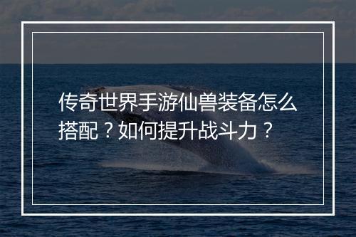 传奇世界手游仙兽装备怎么搭配？如何提升战斗力？