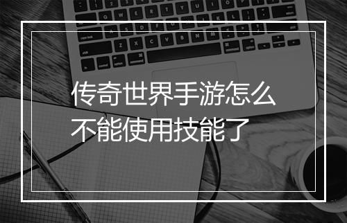 传奇世界手游怎么不能使用技能了