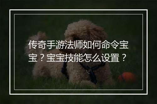 传奇手游法师如何命令宝宝？宝宝技能怎么设置？