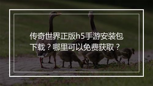 传奇世界正版h5手游安装包下载？哪里可以免费获取？