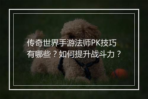 传奇世界手游法师PK技巧有哪些？如何提升战斗力？