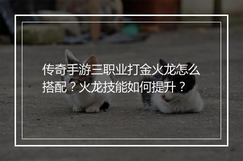 传奇手游三职业打金火龙怎么搭配？火龙技能如何提升？