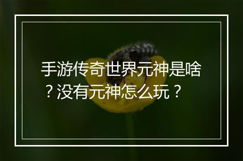 手游传奇世界元神是啥？没有元神怎么玩？