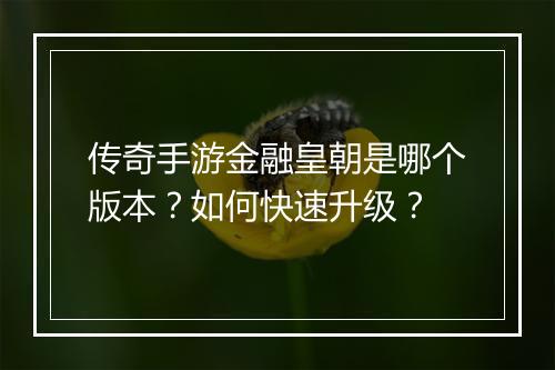 传奇手游金融皇朝是哪个版本？如何快速升级？