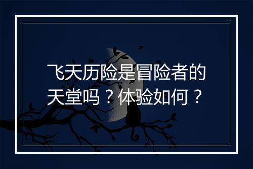 飞天历险是冒险者的天堂吗？体验如何？