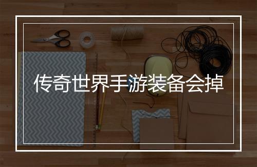传奇世界手游装备会掉