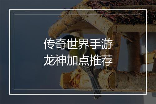 传奇世界手游龙神加点推荐