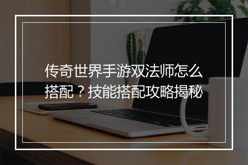 传奇世界手游双法师怎么搭配？技能搭配攻略揭秘