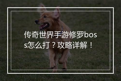 传奇世界手游修罗boss怎么打？攻略详解！