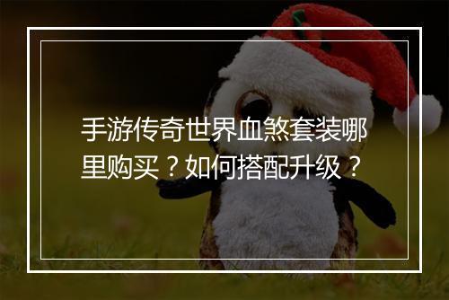手游传奇世界血煞套装哪里购买？如何搭配升级？