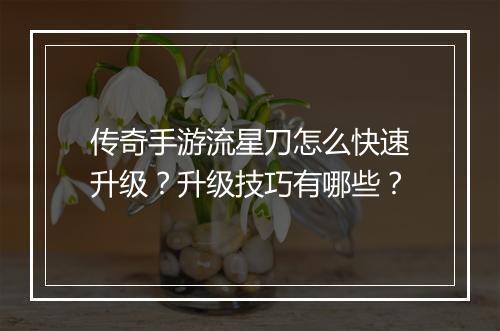 传奇手游流星刀怎么快速升级？升级技巧有哪些？