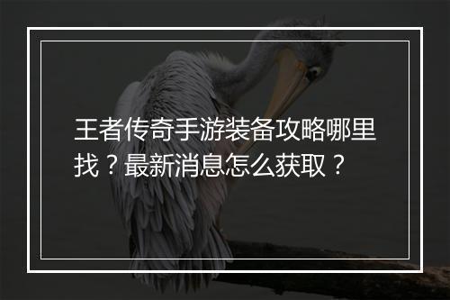 王者传奇手游装备攻略哪里找？最新消息怎么获取？