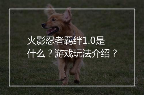 火影忍者羁绊1.0是什么？游戏玩法介绍？