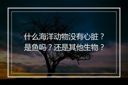 什么海洋动物没有心脏？是鱼吗？还是其他生物？