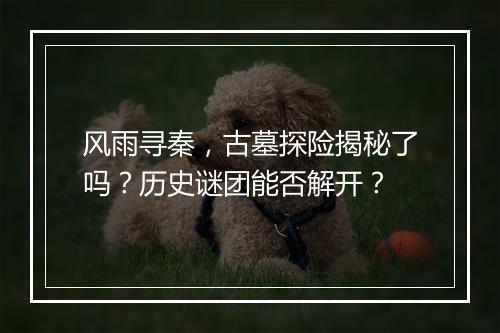 风雨寻秦，古墓探险揭秘了吗？历史谜团能否解开？
