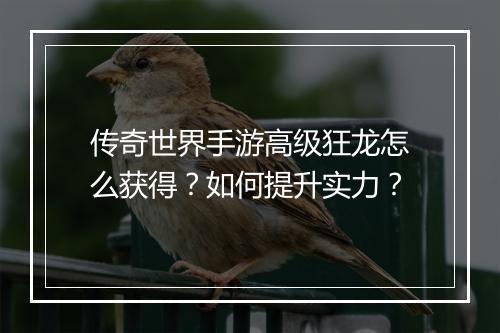 传奇世界手游高级狂龙怎么获得？如何提升实力？