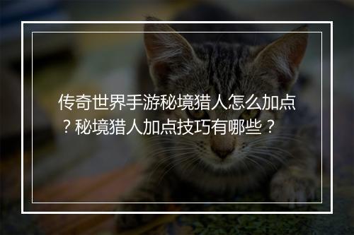 传奇世界手游秘境猎人怎么加点？秘境猎人加点技巧有哪些？