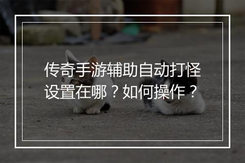 传奇手游辅助自动打怪设置在哪？如何操作？