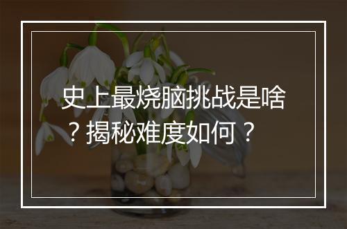 史上最烧脑挑战是啥？揭秘难度如何？