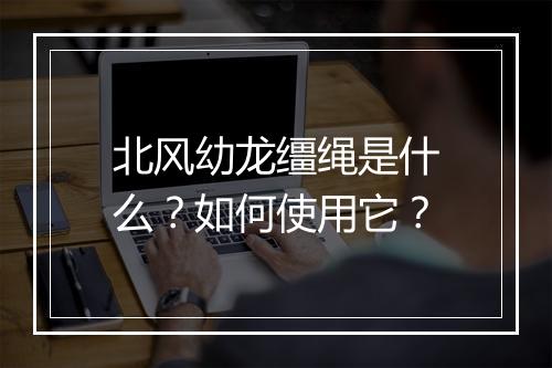 北风幼龙缰绳是什么？如何使用它？