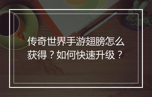 传奇世界手游翅膀怎么获得？如何快速升级？