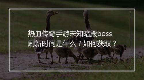 热血传奇手游未知暗殿boss刷新时间是什么？如何获取？