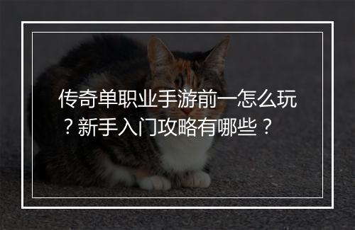 传奇单职业手游前一怎么玩？新手入门攻略有哪些？