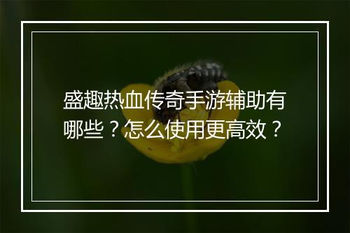 盛趣热血传奇手游辅助有哪些？怎么使用更高效？