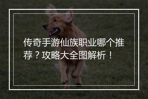 传奇手游仙族职业哪个推荐？攻略大全图解析！