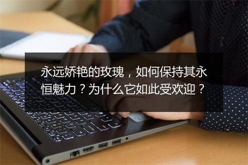 永远娇艳的玫瑰,如何保持其永恒魅力?为什么它如此受欢迎?