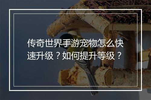 传奇世界手游宠物怎么快速升级？如何提升等级？