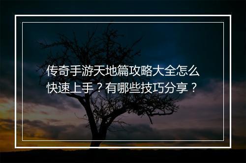 传奇手游天地篇攻略大全怎么快速上手？有哪些技巧分享？