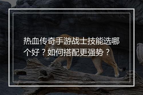 热血传奇手游战士技能选哪个好？如何搭配更强势？