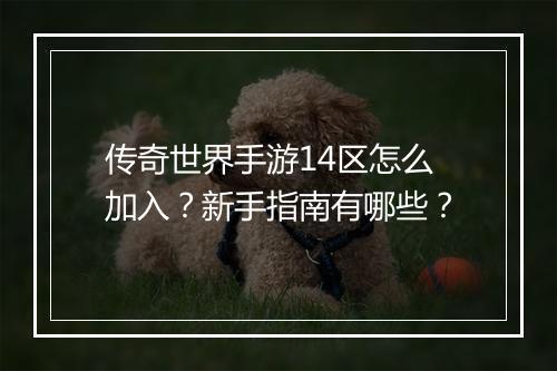 传奇世界手游14区怎么加入？新手指南有哪些？