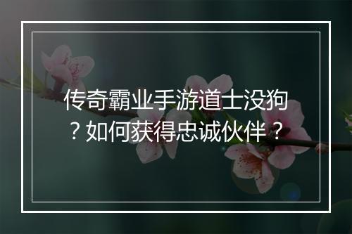 传奇霸业手游道士没狗？如何获得忠诚伙伴？