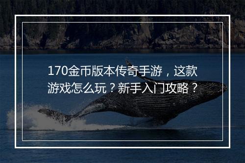 170金币版本传奇手游，这款游戏怎么玩？新手入门攻略？