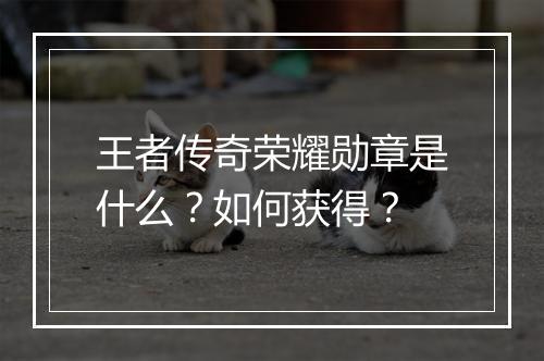 王者传奇荣耀勋章是什么？如何获得？